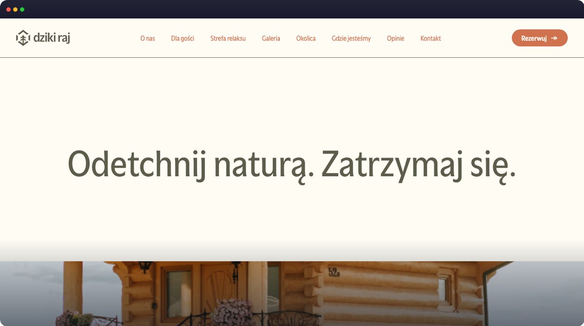 Screenshot strony dziki-raj.pl